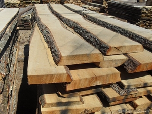 Доска необрезная от производителя любых размеров #1483773