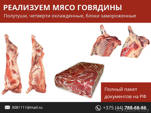 Мясо говядины. Недорого. #1480169