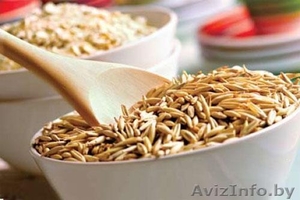 Овес фуражный постоянно опт #1476471