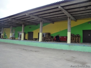 Аренда склада-магазина в г. Пинск 200-600 м2 #1486327