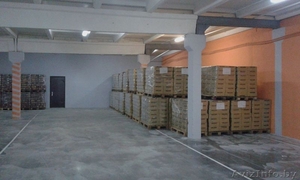 Аренда производственных помещений Молодечненский р-н,  д. Красное 100-1000 м2 #1486332