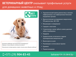Ветеринарная помощь для ваших любимых питомцев. #1488850
