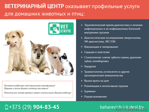 Услуги ветеринарного центра. #1488848