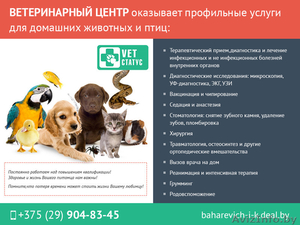 Ветеринарная помощь. Профессиональные специалисты. #1488846