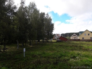 Дом в аг.Нарочь.Беларусь.озеро Нарочь #1503511