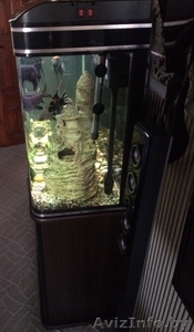 Аквариум 230 литров фирмы Barbus   #1495244