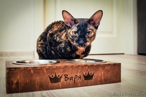 АКЦИЯ : Скидка 30 % на персонализированную мисочку для еды для котика или собачки. #1496044