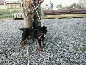 Ваш ребенок будет счастлив и здоров #1497575