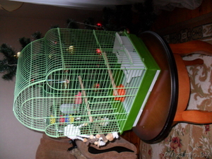 Клетка для попугая железная зелёная #1502947