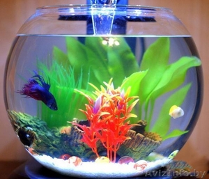 Аквариум с водопадом и рыбкой В ПОДАРОК! #1510963