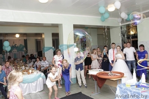 Ведущий на свадьбу,  юбилей #1511998