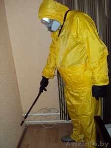 Холодный туман - травля  тараканов,  клопов. #1512406