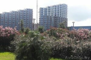 Апартаменты в Грузии. Недвижимость в Батуми. #1507054