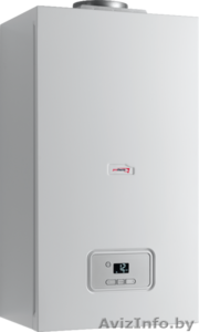Газовый конденсационный котел Protherm Гепард 25 MKO #1510643