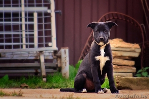 Забавная Мерседес в любящие руки #1505214