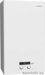 Газовый двухконтурный котел Protherm Lynx (Рысь) НК 24 #1510567