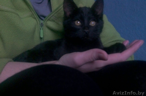 КОМОЧЕК СЧАСТЬЯ ДЛЯ ВАС #1509667