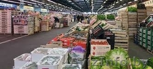 Перевозка продуктов Витебск #1516417