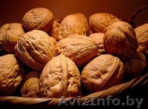 Грецкие орехи #1517454
