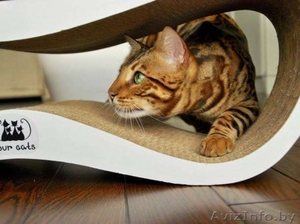 Трендовые когтеточки,  лежанки и домики для кошек #1521033