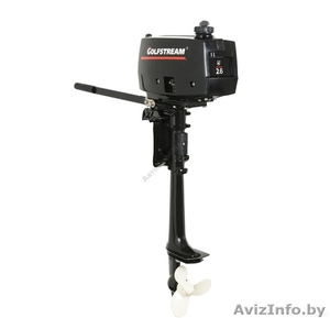 Лодочный мотор Golfstream (Parsun) T2.6CBMS #1519572