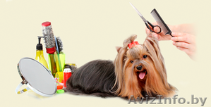 Стрижка собак и кошек #1515728