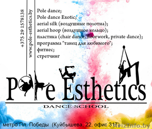 Школа танцев Pole Esthetics: pole dance,  полотна,  кольцо,  пластика  #1156879