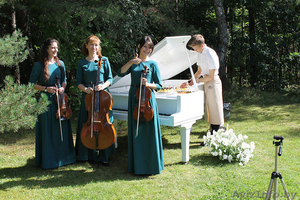 Струнный квартет,  трио,  дуэт. Музыка для праздника. #1284648