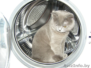 Барабан стиральной машины Electrolux #1524003