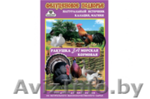 Ракушка морская подкормка кур,  голубей и с/х птицы,  кг. #1526431