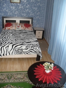 Уютная квартира с WIWF на сутки в Слониме. 37529 9345890. 37533 393911 #1521215