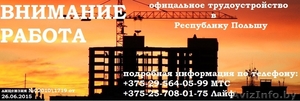 Официальное трудоустройство в Республику Польшу #1528059