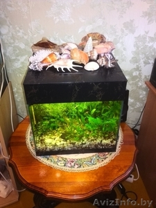 Изготовление,  ремонт аквариумов,  террариумов и стеклоизделий по низким ценам #1530679