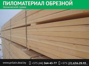 Сухая доска. #1536951