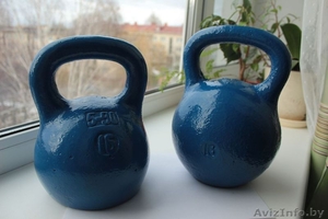 Гири 16 кг,  2 шт. #1537608