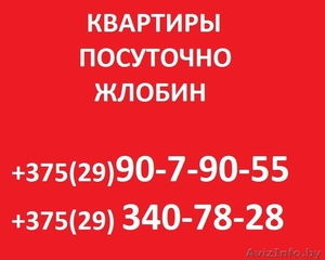 квартиры посуточно в Жлобине #1529424