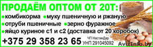 Продаём оптом от 20 тонн! Комбикорма Муку пшеничную и ржаную #1533750
