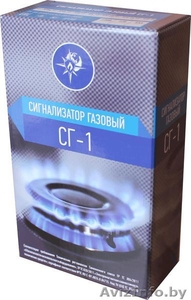 Сигнализатор газовый СГ-1СНм #1534915