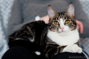 Нэсси - принцесса в мраморной шубке #1491331