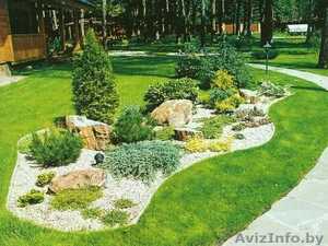 Укладка газона,  земельные работы #1539109