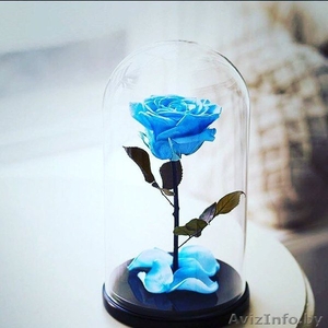 Стабилизированная Роза в колбе #1540367