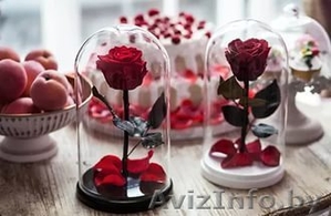 Роза в колбе стабилизированная вечная живая #1540372