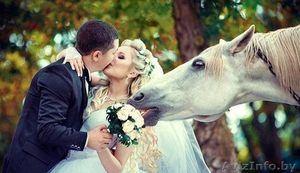 Свадебная,  студийная,  выездная съемка. Подарочные сертификаты. #1543126