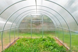 Теплицы из поликарбоната. Увеличение урожайности #1545320