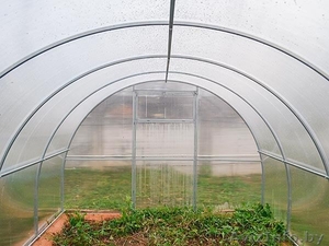 Теплицы Завод в Беларуси #1547113