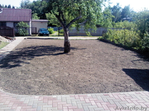 Посев дачного газона #1547505