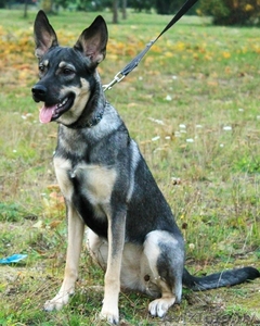 Юная утонченная Грейс ждет хозяина! #1461447