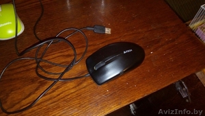 Мышка новая,  проводная,  чёрного цвета,  не дорого. Продаю в городе Витебск.  #1542007