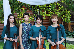 Струнное трио. Музыкальное сопровождение выездных регистраций. #1290718