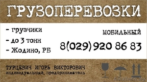 ГРУЗОПЕРЕВОЗКИ ЖОДИНО,  по городу и РБ,  ГРУЗЧИКИ,  квартирные и офисные переезды,   #1553488